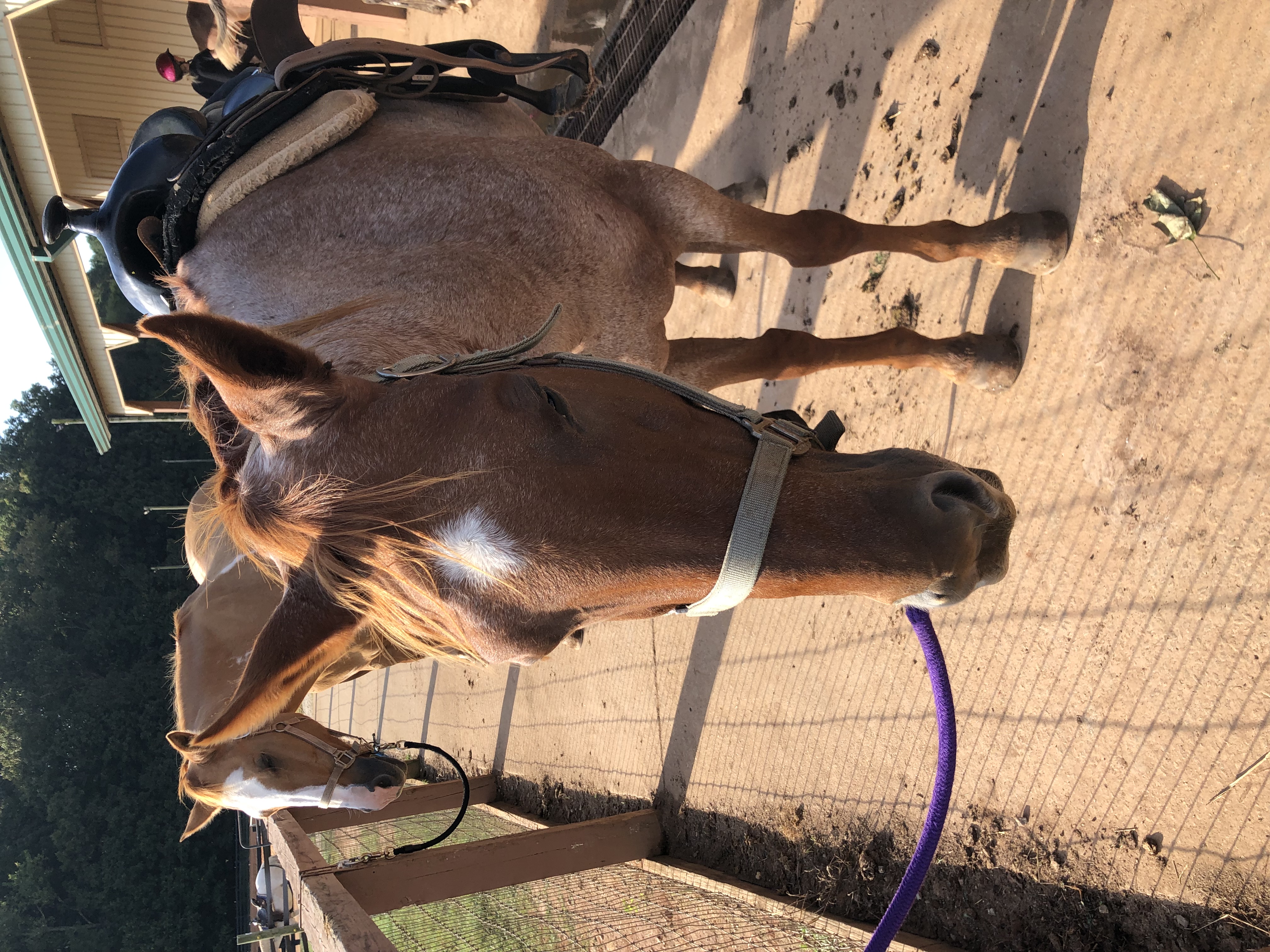 ./2021/07 - Southern Cross/IMG_4042.JPG